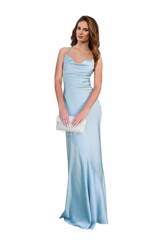 Buy Long Light Sky Blue Sleeveless Sheath Open Back Formal Evening Dress